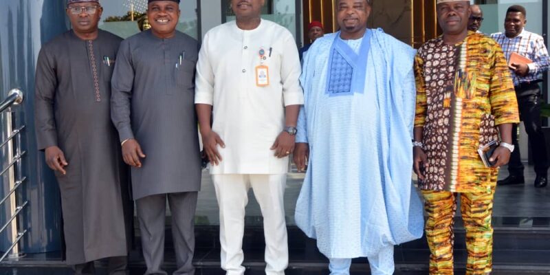 195d1511 854f 4b41 967a 48a0328293ea